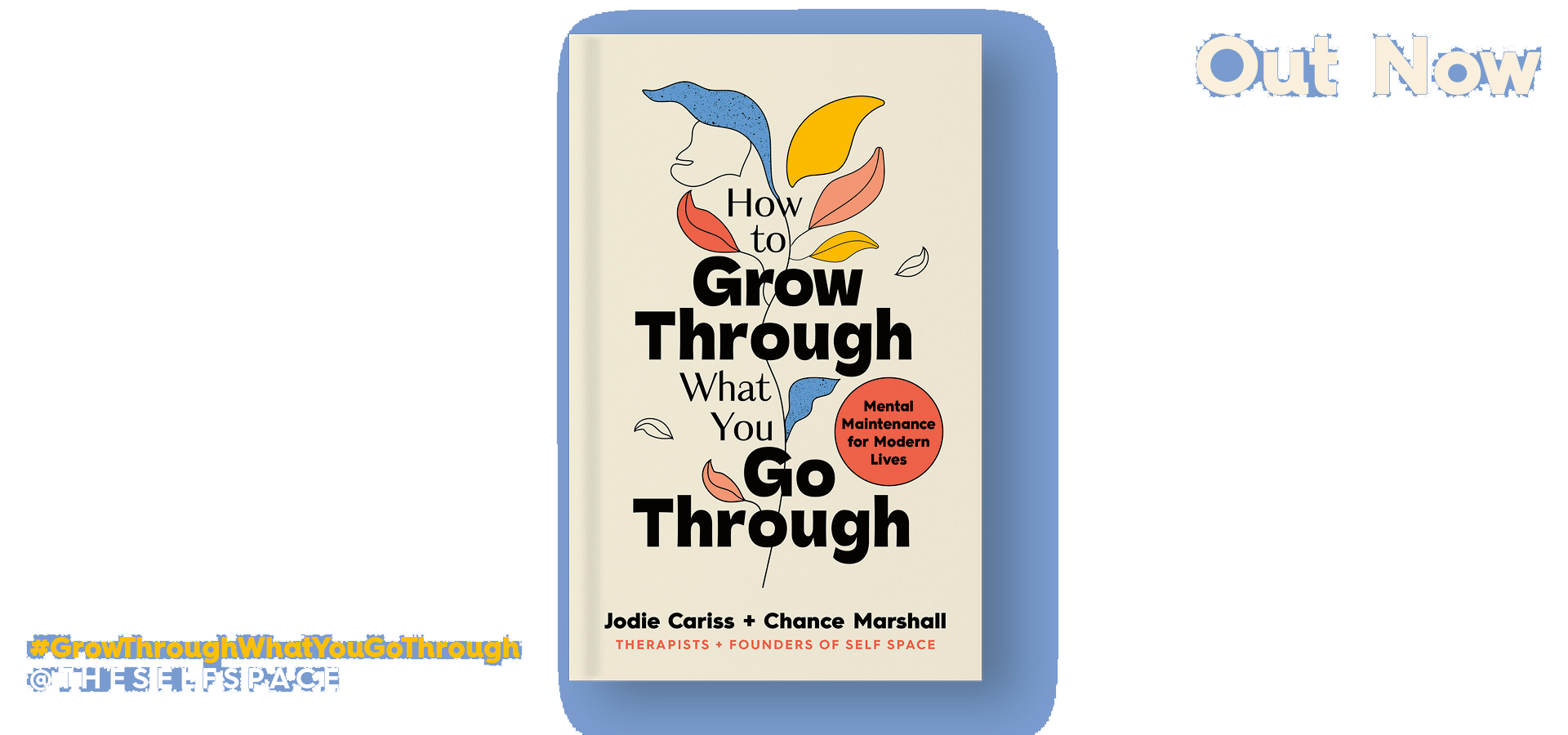 How to Grow Through what you go through book